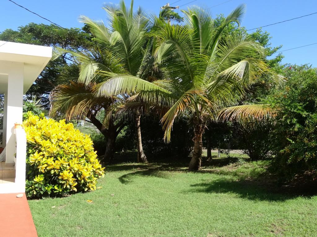 Tranquility By The Sea Villa Vieques Eksteriør bilde