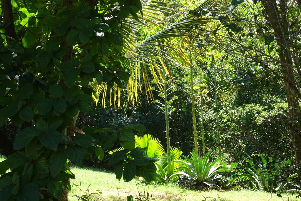 Tranquility By The Sea Villa Vieques Rom bilde