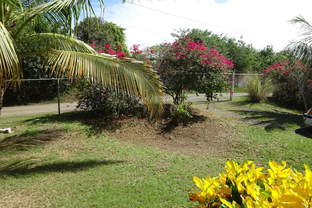 Tranquility By The Sea Villa Vieques Rom bilde