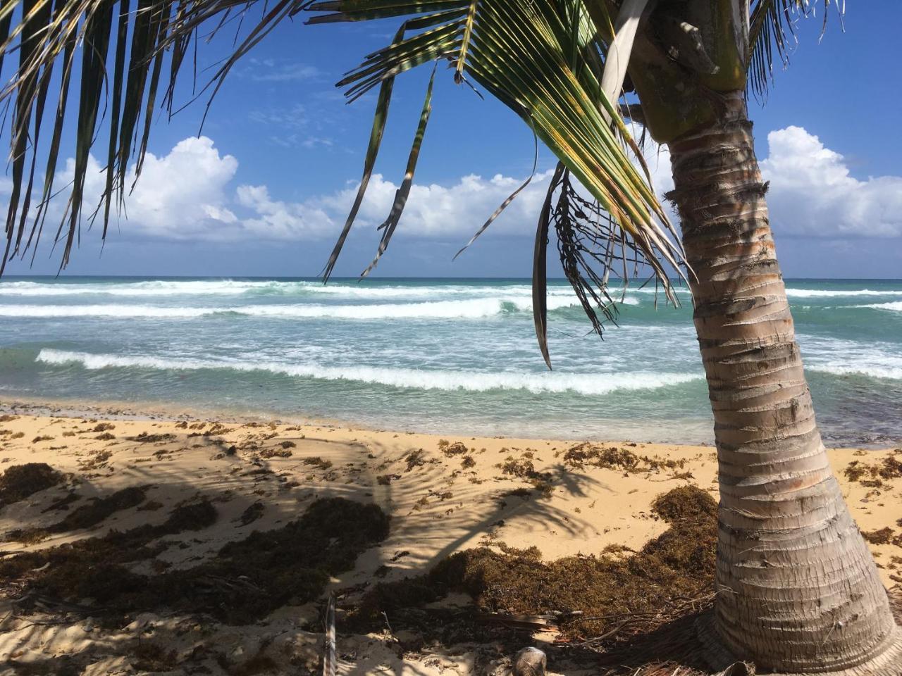 Tranquility By The Sea Villa Vieques Eksteriør bilde