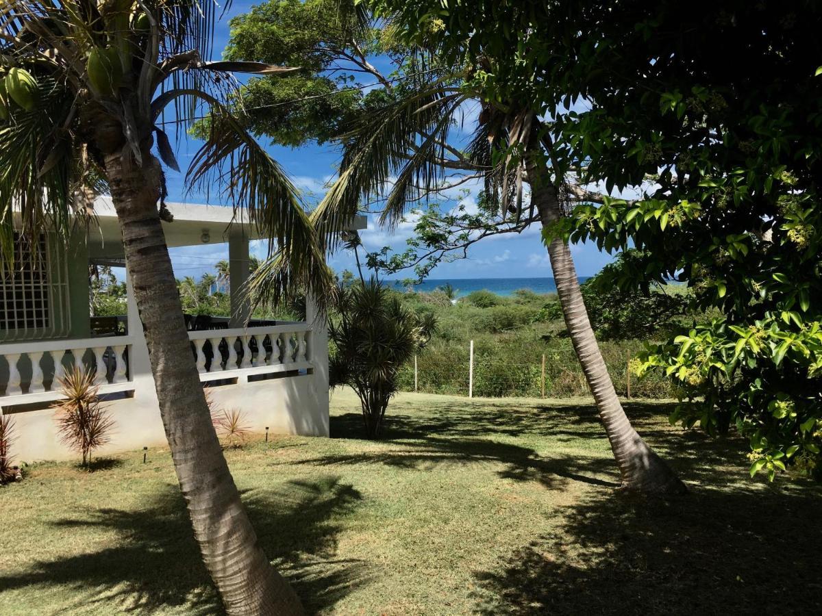 Tranquility By The Sea Villa Vieques Eksteriør bilde