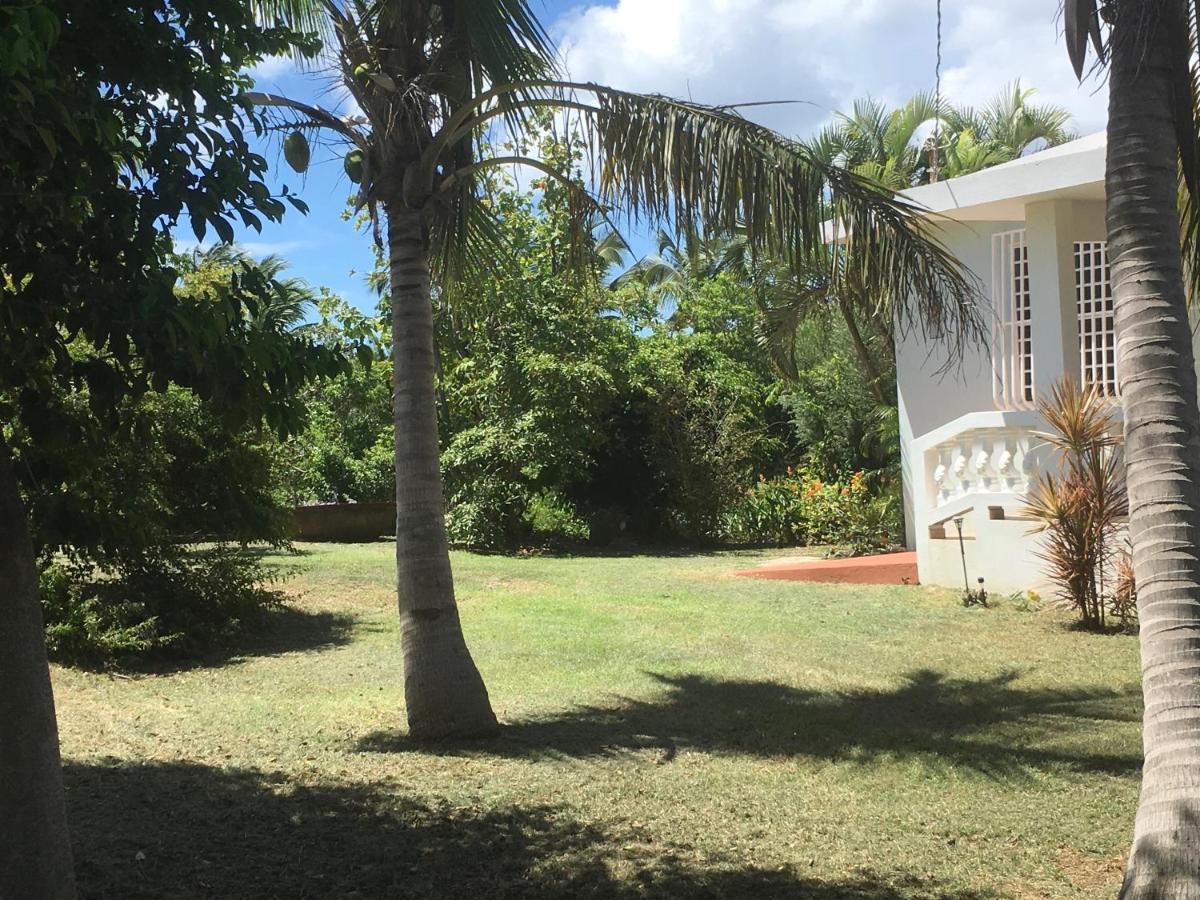 Tranquility By The Sea Villa Vieques Eksteriør bilde